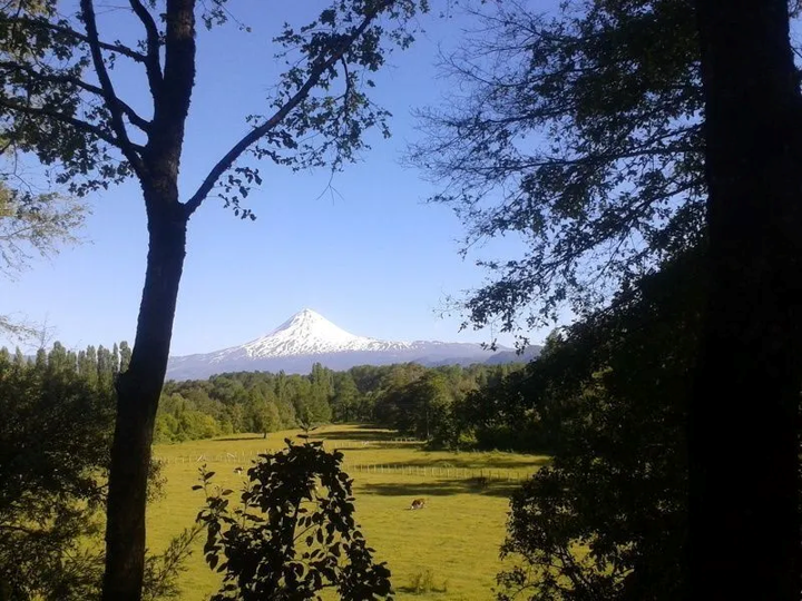 Imagen6