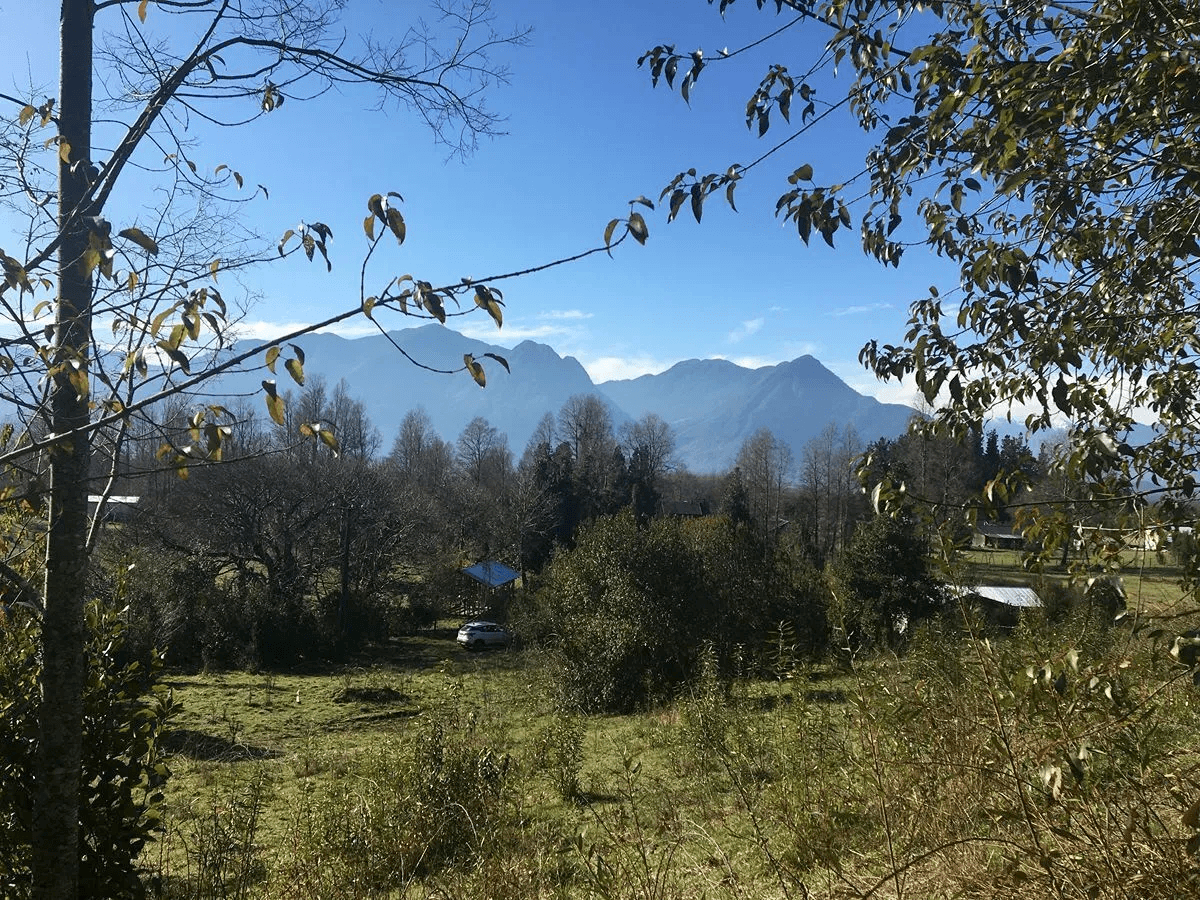parcela pucon 100 millones4 parcela pucon 100 millones4